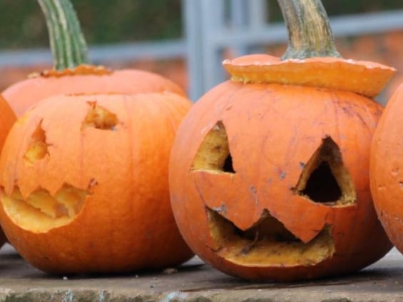 Running from 10-31 October, with a free pumpkin picked from their field for every child. There's also set to be a fancy dress contest, Halloween hunt, and Clyde Valley's 'creepy corridor'. Tickets cost £7.95 per person and must be booked in advance.