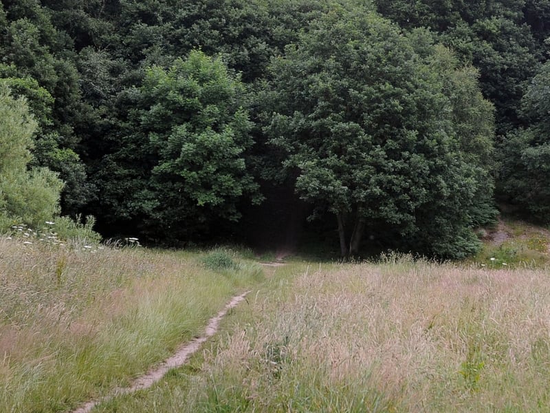 If you fancy a steep climb with a rewarding view at the top, Andrew James Wilson points readers directly to the "top of Post Hill Woods" on the border of Pudsey and Wortley.