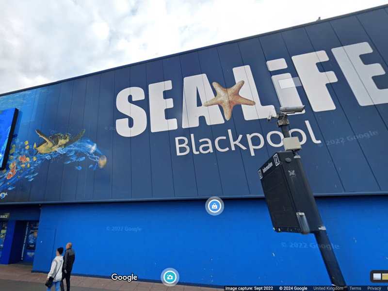 Perhaps one for a rainy day, the Sea Life Centre is full of weird and wonderful creatures to thrill all the family.
