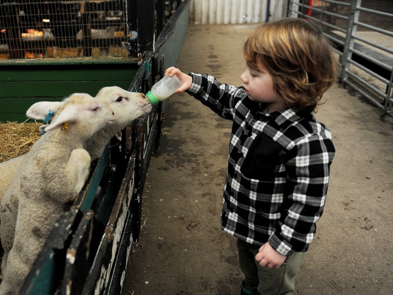 Over in Rothwell, the place to be is Swithen Farm as here kids can meet sheep, llamas, guinea pigs, and more. After, why not visit Rothwell Leisure Centre where kids under three swim free?