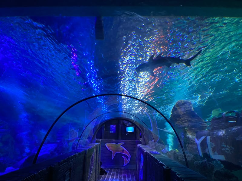 Under water tunnel - Sea Life Blackpool