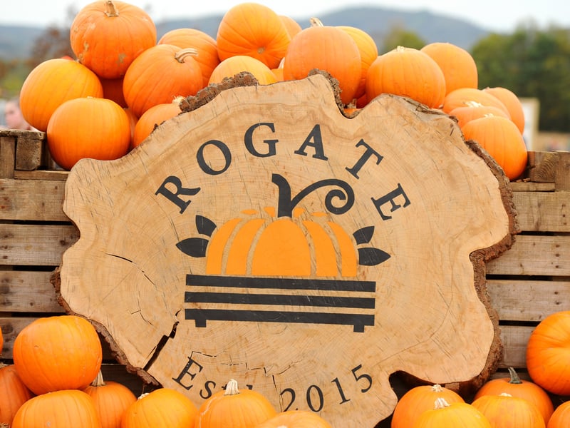 Rogate Pumpkin Patch in Rogate near Petersfield, is running from October 16 to November 1.
The farm is a popular spot with families travelling from around the area and beyond to attend each year.

Picture: Sarah Standing (181025-5728)