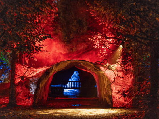 Lotherton Hall’s grounds are transformed into an outdoor dark fairy tale trail for Halloween. Live actors bring eerie, twisted versions of classic storybook characters to life along a managed walking route for older kids and teens. 🎃 Lotherton Hall, Off Collier Lane, Aberford, LS25 3EB