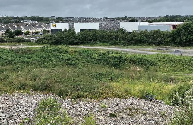 A Musgrave-owned company is now listed as owner of the 'Kingston lands' opposite Lidl and Aldi.