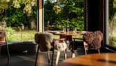 Lignum restaurant