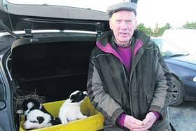 Gus Heavey from Newbridge with his seven-week-old purebred Border Collie pups for sale outside Mountbellew Mart on Friday last. PHOTO: DAVID WALSH.