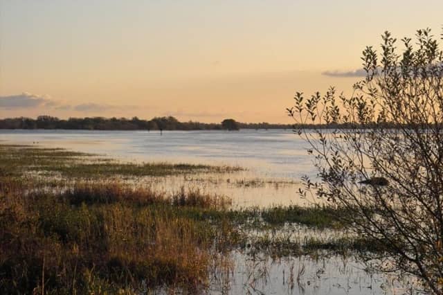 Shannon Callows ... flooding consultation