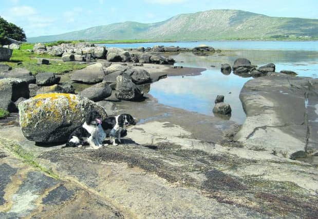 Bare rock surfaces with glacial erratic boulders at Turlough Quay, Rosmuc.