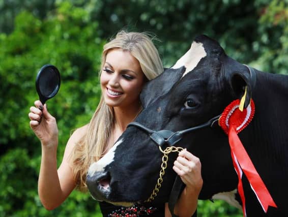Former Miss World Rosanna Davison with bovine friend.