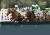Quick Jack, left, with Denis O'Regan, jump the last hurdle on their way to winning the Guinness Galway Hurdle Handicap at Ballybrit. Thomas Edison and Barry Geraghty on left, fell at the hurdle. Photo: Iain McDonald.