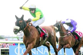 The Tony Martin trained Quick Jack, winner of the Connacht Hotel Handicap last year, is one of the leading fancies for next week's Guinness Galway Hurdle.