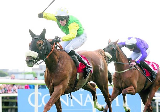 The Tony Martin trained Quick Jack, winner of the Connacht Hotel Handicap last year, is one of the leading fancies for next week's Guinness Galway Hurdle.