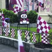 A resident of St Brendan's Terrace in Ballinasloe getting in on the action!