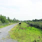 WASTEFUL . . . A section of the lands off the motorway in Ballinasloe which have been the location for illegal Traveller encampments. The horse in the photo is tied there.
Photo: Gerry Stronge.