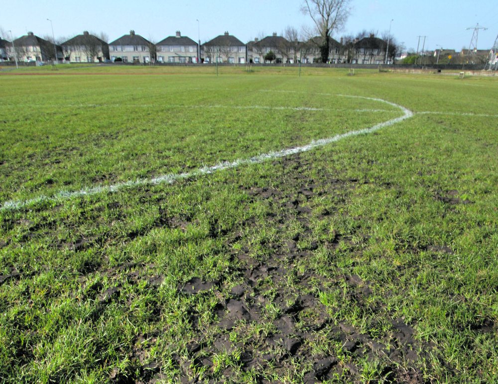 A section of the Westside pitches where the poor grass growth is baffling experts.