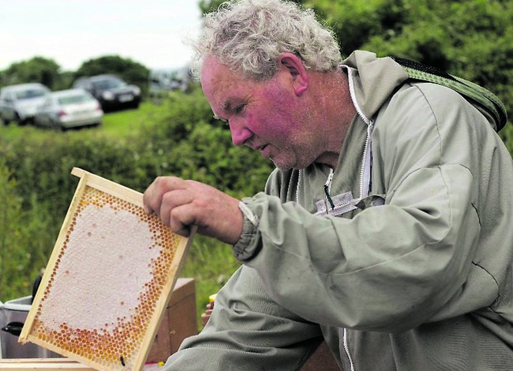Gerard Coyne with a frame of honey, demonstrating at queen-rearing workshop.