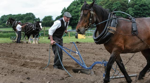 Michael Burke from Moycullen at Farming and Country Life 1916 at Teagasc Campus, Athenry.
