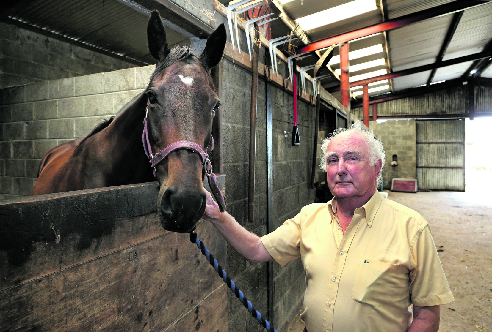 The late Dr. John Waldron: sold Faugheen as a foal for a modest enough amount, but that never bothered him. He is pictured here with the Champion Hurdle winners dam, Miss Pickering. Photo: Joe O'Shaughnessy.