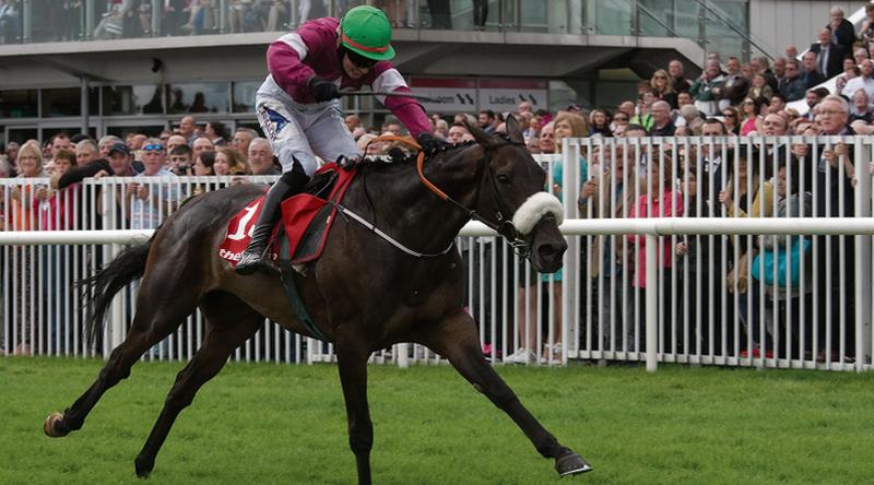 Lord Scoundrel is driven out by Donagh Meyler to win The Tote.com Galway Plate at Ballybrit on Wednesday. Photos: Iain McDonad.