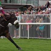 Lord Scoundrel is driven out by Donagh Meyler to win The Tote.com Galway Plate at Ballybrit on Wednesday. Photos: Iain McDonad.