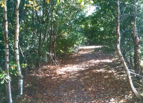 Terryland Forest Park