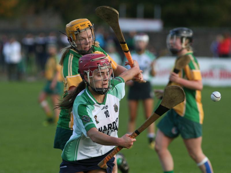 Sarsfields Orlaith McGrath, in action against Mullagh's Sarah Dervan, will be hoping to make a big impact in Sunday's All-Ireland Club senior camogie semi-final against Thomastown.