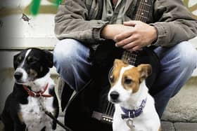 Musician Paul Taylor: always accompanied by his canine companions.