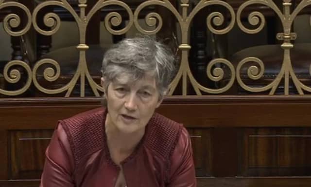 Galway West Deputy Catherine Connolly speaking in the Dáil.