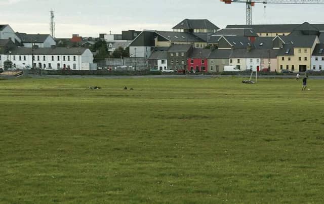 South Park with Long Walk in the background.