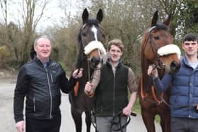 HOME ARE THE HEROES: Galway trainer Pat Kelly with Mall Dini (left) and Presenting Percy after their great exploits at the Cheltenham festival last week. Also included are amateur rider William McMahon, centre, and David Prendergast, farrier.
