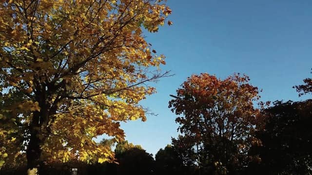 Shades of Autumn as October nudges us all into the darker days.