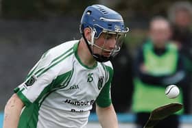 Sarsfields' Kevin Cooney who made an important scoring contribution in Saturday's senior hurling quarter-final win over Castlegar at Kenny Park.