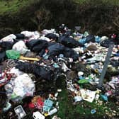 Blight: domestic refuse dumped illegally in South Galway.