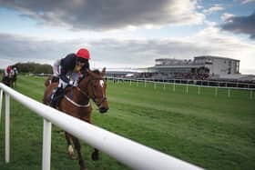 Galway jockey Derek O'Connor passes the winning post on Longhouse Poet in landing last Friday's bumper at the Punchestown festival.