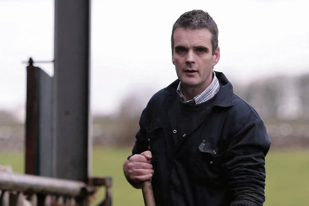 Joe Healy