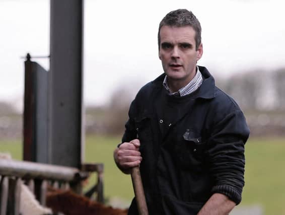 Joe Healy