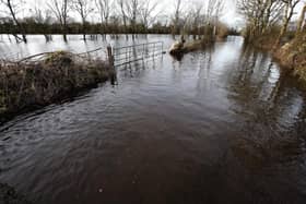 Past nightmare...flooded road and land at Ballylee, Gort. Photo: Joe O'Shaughnessy.