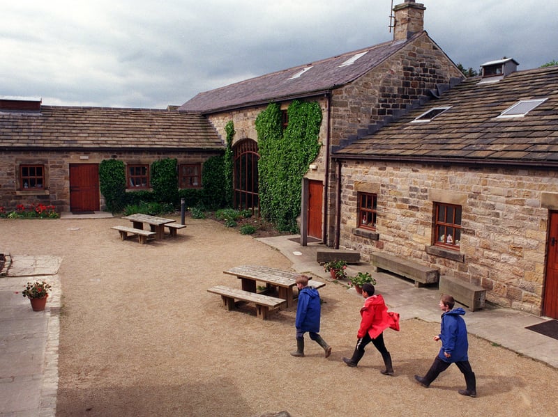 Running for just three days right before Halloween, it proves popular for its intimate, event-like feel, featuring woodland trick-or-treat trails, wand-making, and autumn crafts alongside pumpkin picking. 🎃 Swan Lane, Eccup, Leeds LS16 8AZ
