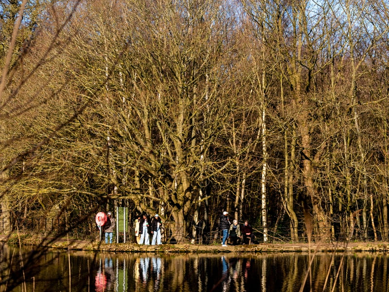 Unsurprisingly, one of the largest city parks in Europe emerged as the clear favourite among readers, receiving votes from Shanjan Usman, Rick Bell, and Morag Anne Saville Gilmour. For local angler David Clapham Fox, the changing scenery adds something special to his weekend routine: "Roundhay, I love seeing the colours change each time I'm fishing."