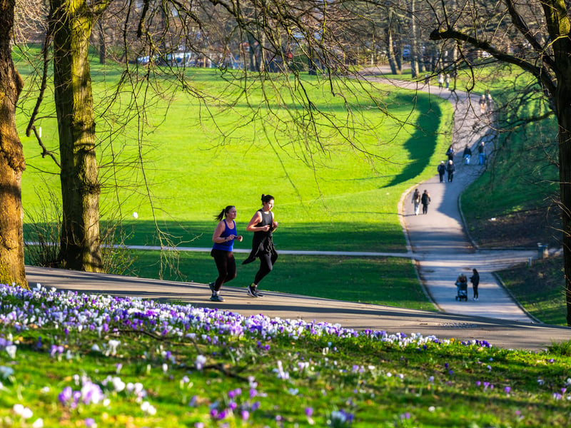Described as "one of Leeds’ leafiest and most upscale neighbourhoods," ChatGPT's highlights include the enormous size of Roundhay Park and the great lake and woodland walks.