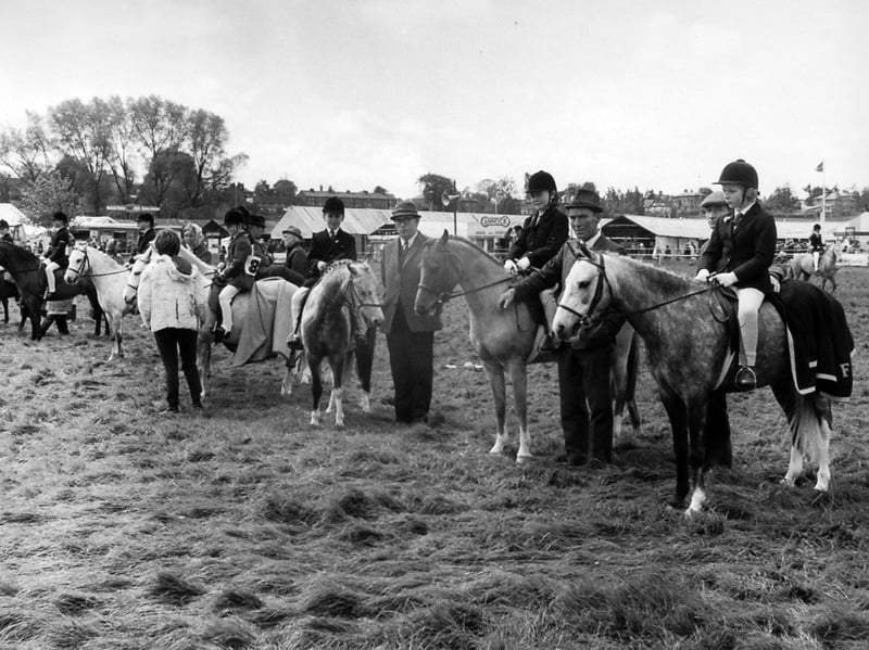Young riders sit proudly in the ring, lined up for judging at the West Mid Show on Coton Hill, Shrewsbury, during the late 1960s. Framed by attentive handlers, traditional velvet riding caps, and the buzz of the agricultural showground in the background, this nostalgic scene captures a timeless piece of Shropshire’s rural heritage. Do you remember showing ponies at the West Mid Show during this era, or do you spot anyone you recognise lined up in the ring?