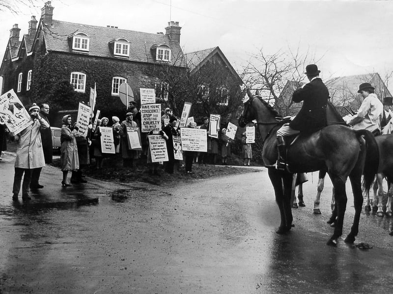 Members of the League Against Cruel Sports gathered at Chesterton, near Bridgnorth, on March 14, 1964, as they campaigned against blood sports. Facing riders on horseback, the group made their opposition clear in a striking scene from rural Shropshire. The photograph captures a moment of community activism in the countryside more than 60 years ago, when campaigners took their cause directly to the places where hunting took place. Do you remember seeing campaigners at Chesterton? Do you remember this period of campaigning in rural Shropshire?