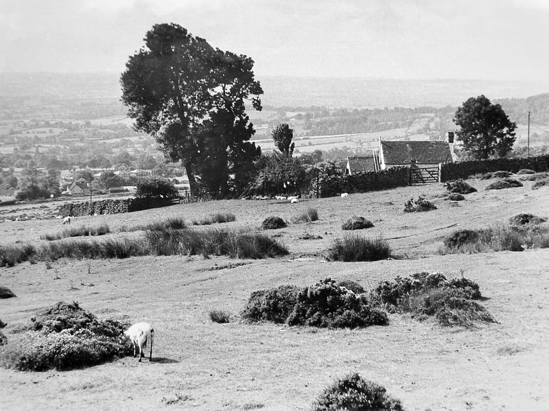A timeless view from Clee Hill. The slopes of Titterstone Clee Hill offer a classic South Shropshire landscape in 1982, with sheep grazing among dry stone walls, old cottages and sweeping countryside views from the A4117. Do you remember this scenic route?