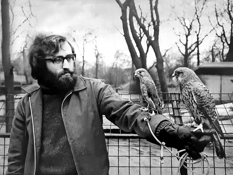 Wearing a thick falconry gauntlet, senior bird keeper Robin Whitewood balances a handsome pair of kestrels on his arm in January 1974. Passionate about birds of prey both on and off duty, Robin embarked on an ambitious project to breed the raptors at his own home in Somers Road, Dudley. His hands-on dedication reflected the deep conservation spirit shared by keepers at Dudley Zoo, bringing their specialized animal husbandry skills beyond the castle grounds and into the local community. Do you remember Robin Whitewood from your visits to Dudley Zoo, or recall his Somers Road kestrel breeding project in the 1970s?