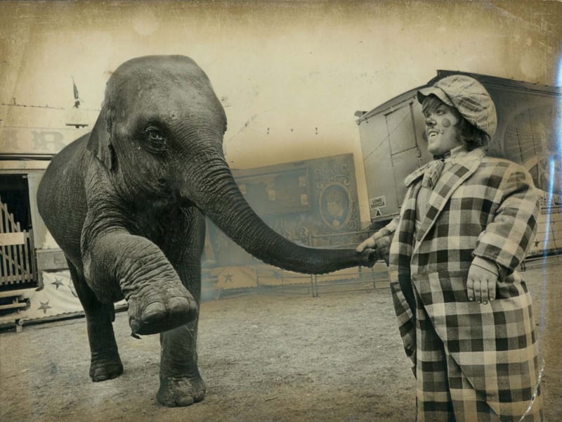 Dressed in full clown costume and an oversized checkered coat, 18-year-old performer Willie Evans shares a gentle handshake with five-year-old elephant Susie in May 1974. The visit brought big-top excitement directly to pupils at Three Crowns special school in Walsall, making it an extra special return for Willie, who had attended the school before running away to join Cottle and Austen’s Circus at just 15 years old. Pitched nearby on the King George V playing fields in Bloxwich, the touring troupe gave local children an unforgettable encounter with its star performers and animals. Were you a pupil at Three Crowns when the circus came to visit, or do you remember seeing Cottle and Austen's big top pitched at Bloxwich in 1974?