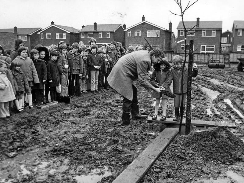 Tina Burn and Jonathon Ball get their hands dirty as they plant a tree at St Andrew's C of E School in Weston, near Stafford, during National Tree Week on March 14, 1975. School managers' chairman John Schoffield is pictured helping with the planting. The young pupils could hardly have known how much the tree might grow over the years. Do you remember taking part in tree planting at school, or other National Tree Week activities?