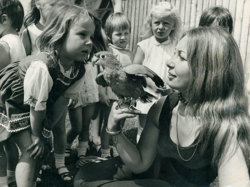 Deansfield pre-school play group in Brewood on 17 July 1972, visiting Dudley Zoo's pet corner