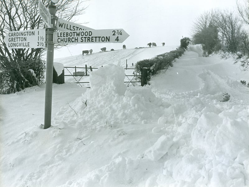 A winter wonderland near Cardington. Deep snow transforms the Shropshire lanes into a Christmas card scene in January 1982, with cattle dotted across the hillside in the distance. Do you remember the heavy snowfalls of the early 1980s?