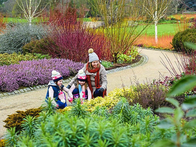 A beginner-friendly, hands-on gardening workshop teaching you how to structure layout, colour, and seasonal interest for your own outdoor space. Expert tutors will guide you step-by-step through matching your specific soil types with the perfect floral displays for maximum impact. 