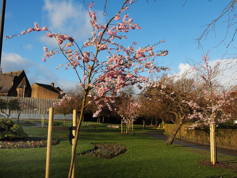 Pudsey Park is a well-loved open space in the lovely market town of Pudsey. Excitingly, plans to create a café and tropical-themed classroom within the park have recently been approved.
